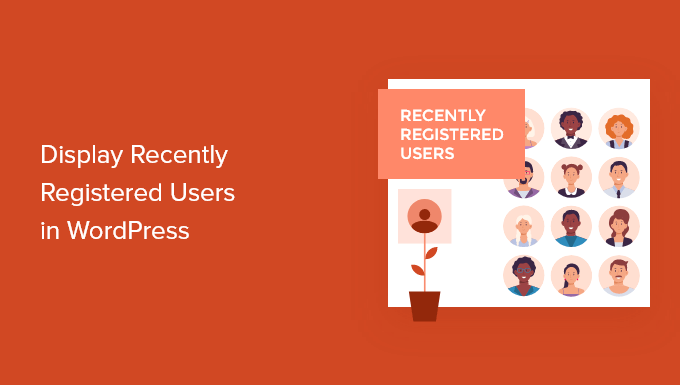 How to Display Recently Registered Users in WordPress