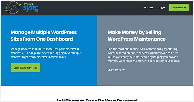 iThemes Sync