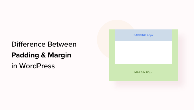 What’s the Difference Between Padding and Margin in WordPress?